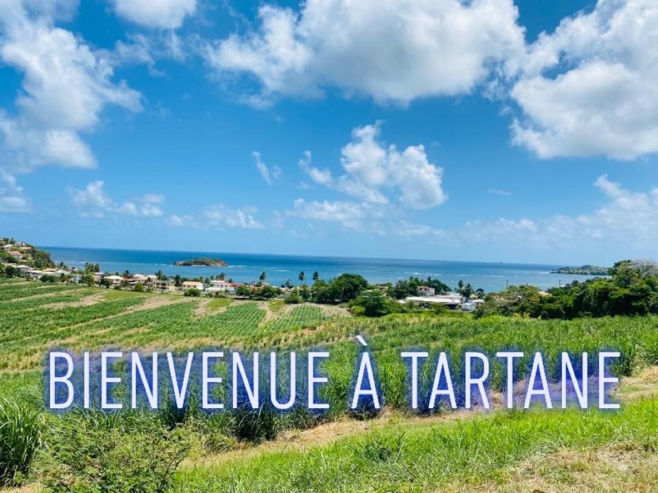Residence De La Baie - Bleu Soleil Tartane La Trinité Exteriér fotografie